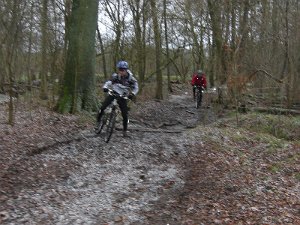 2010 1212 Crosstour 025
